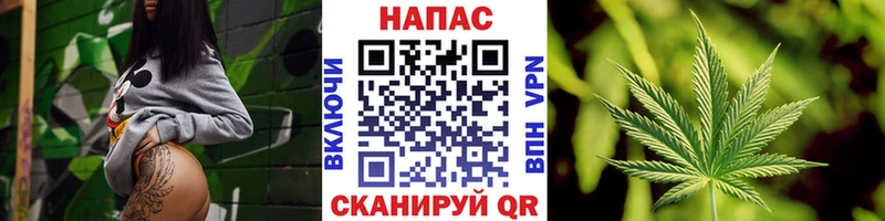 Каннабис план  kraken маркетплейс  Волгореченск 